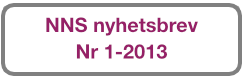 Knapp NNS Nyhbrev 2013 1