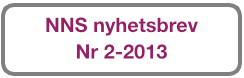 Knapp NNS Nyhbrev 2013 2