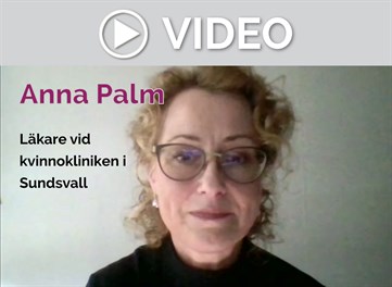 Ban Video Anna Palm